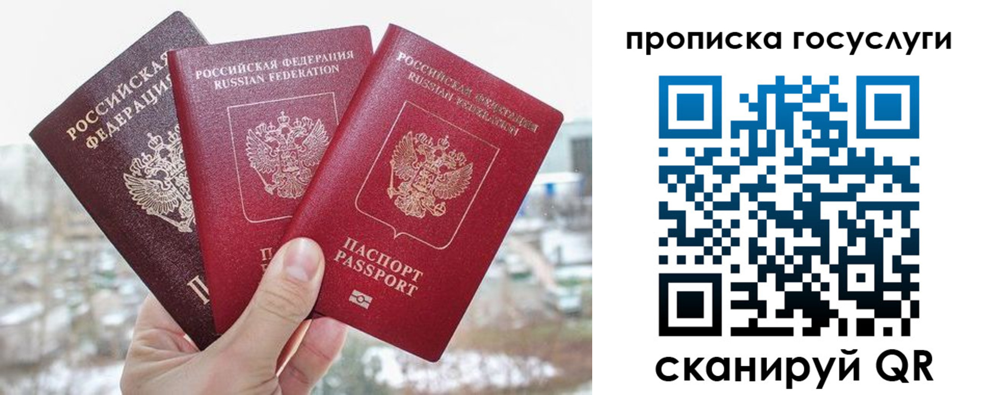 прописка законно в Опочке